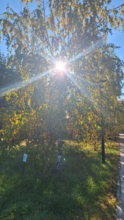 Дневниково-садоогородное