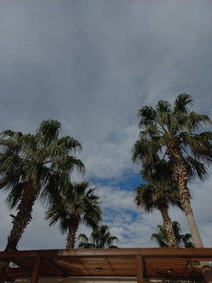 Путешествуем