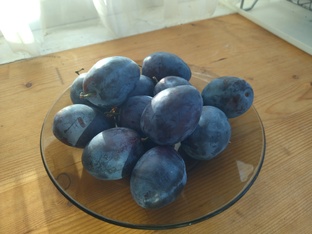 Слива и алыча