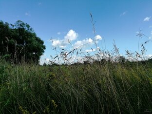 Окружающая природа России