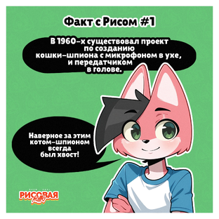Факт с Рисом