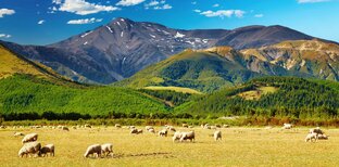 Летим в Новую Зеландию