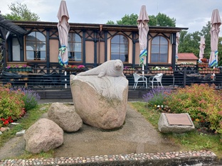 Калининград, Зеленоградск июнь 2024