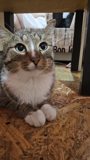 Работа чуть чуть 