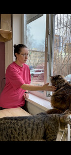 Учить кошек 