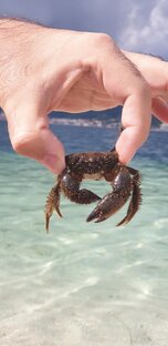 Истории из моей жизни📝