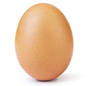 Just an egg