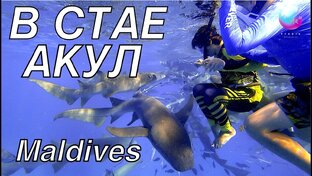 Приключения под водой 