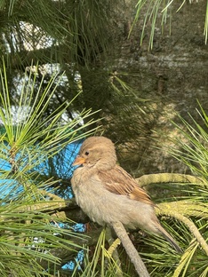 Чудесные животные!☺️