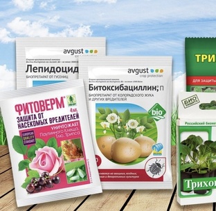 Аптечка для растений