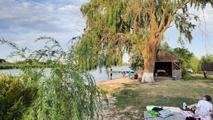 Отдых на природе, поездки на речку.