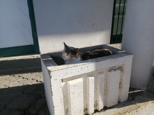 Заметки с детских площадок