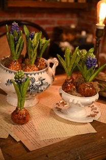 Все видео премиум раздела (сад, новогоднее, DIY)