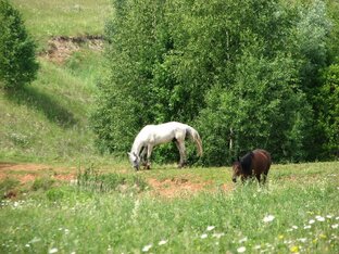 Мир вокруг🎨