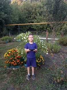 Коротко о разном