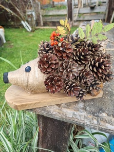 Сад и школа 