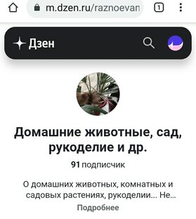 О канале 