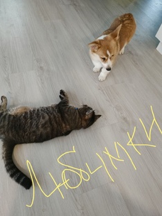 Сладкая парочка