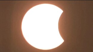 Учитель и ученики. 