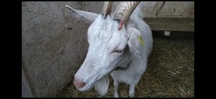 жизнь в городе/до переезда