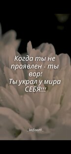 Матрица