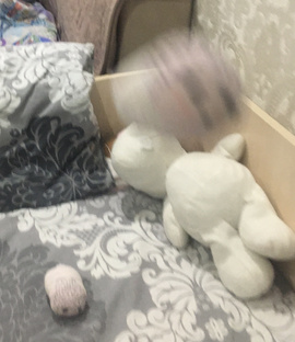 Тюлени!!!