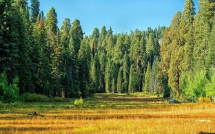 Длинные релаксы