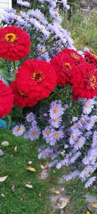 Жизнь в СНТ "Ивушка"