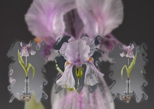 ЦВЕТОЧНОЕ ЧУДО