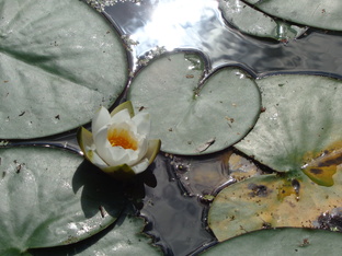 Истории из другой жизни.