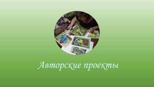 Авторские проекты 