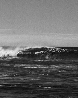 Рассказы и очерки