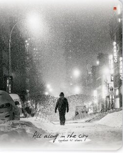 Стихи посвященные Северу,своему родному краю , городу Мурманску 