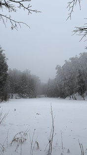 Ленобласть