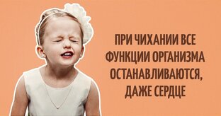 Интересные факты о человеке 