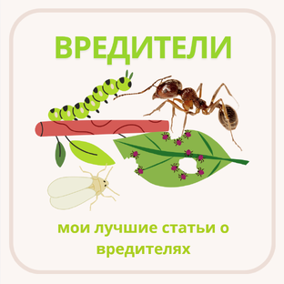 Вредители