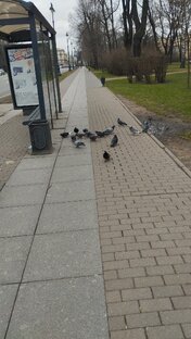 для взрослых