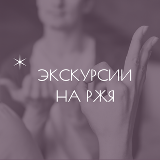 Видео на русском жестовом языке