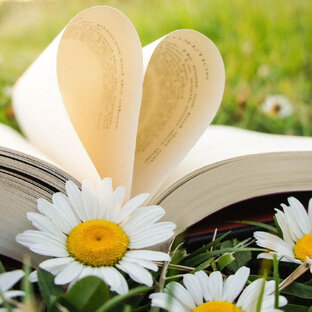 Про Книги с Леди Чудо