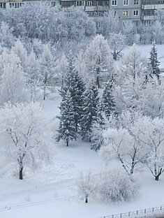 Времена года: зима