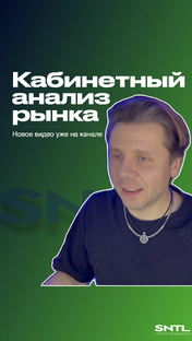 SNTL Анализ рынка