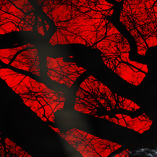 Кладезь музыкального опыта.