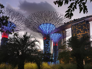 Сингапур 🇸🇬 