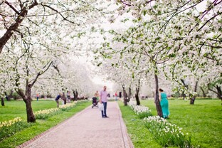 Города и красивые места на планете