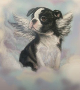 Стихи о собакевичах