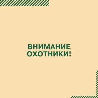 ОХОТА И ПРАВО