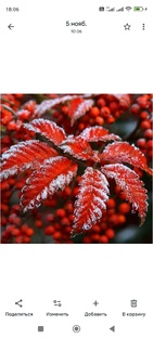 Декабрь месяц 2025