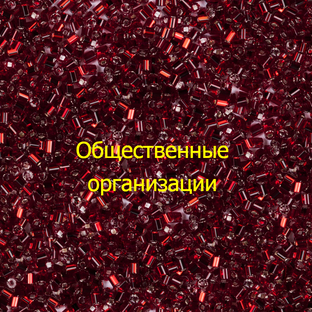 Общественные организации