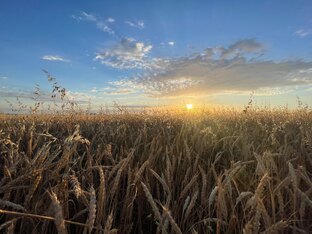 Краснодарский край - это рай