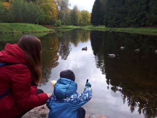 Рассказы о жизни